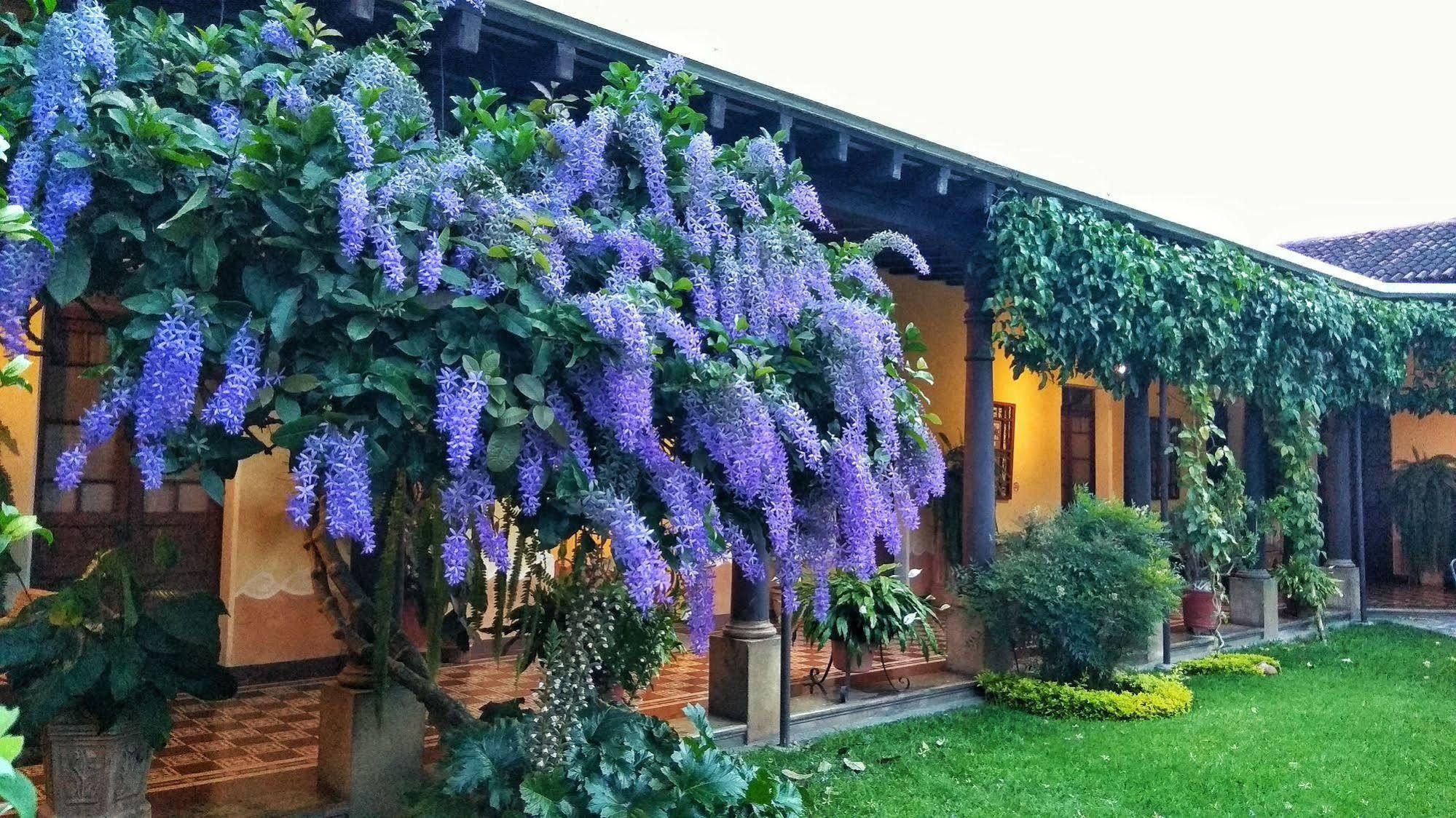 Hotel Aurora Antigua Exterior photo